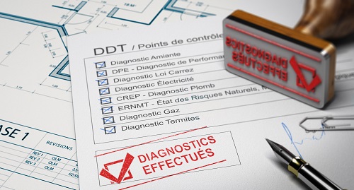 Diagnostic punaises de lit : un nouveau diagnostic immobilier dans le DDT ?